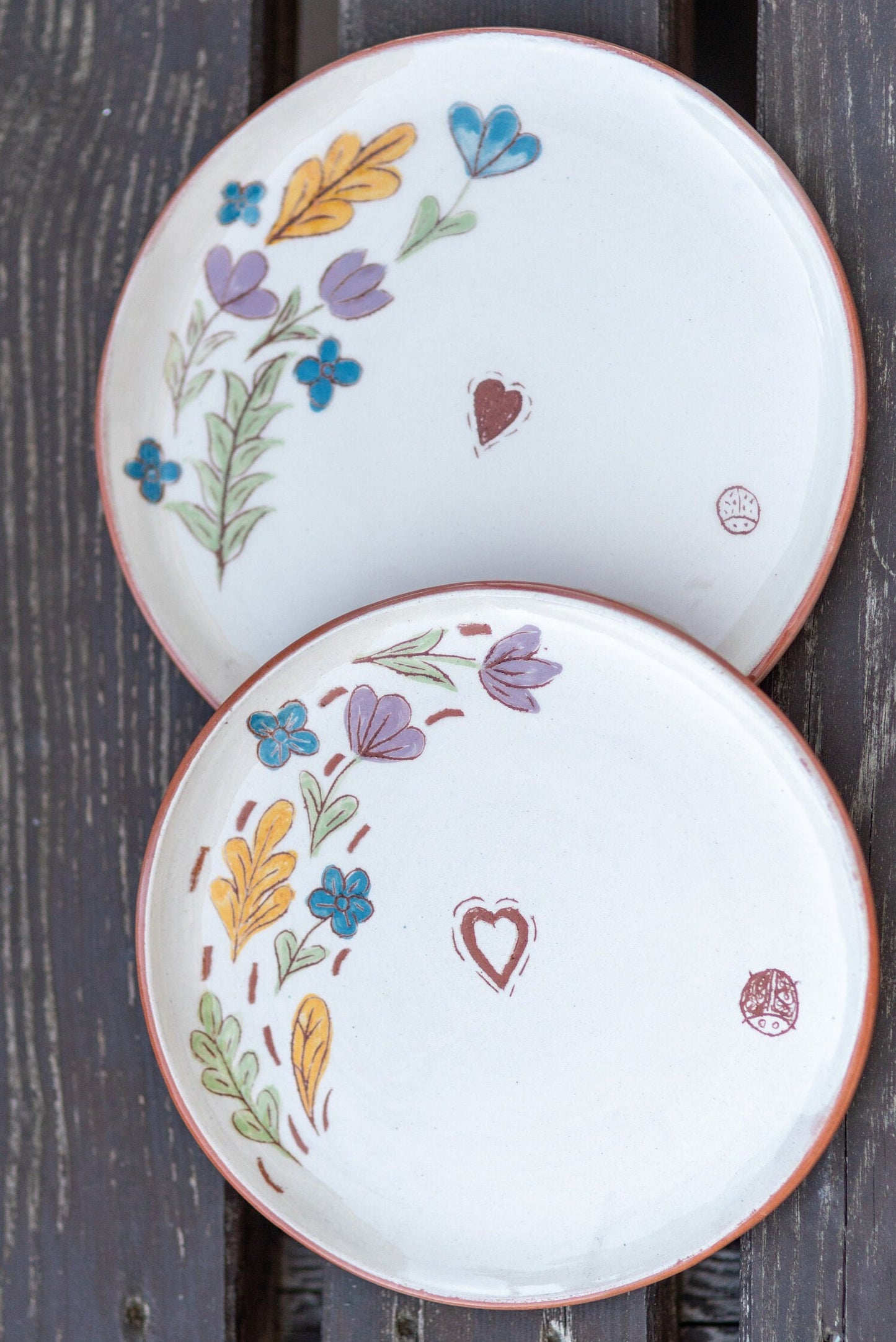 Floral Theme Terracotta Plate