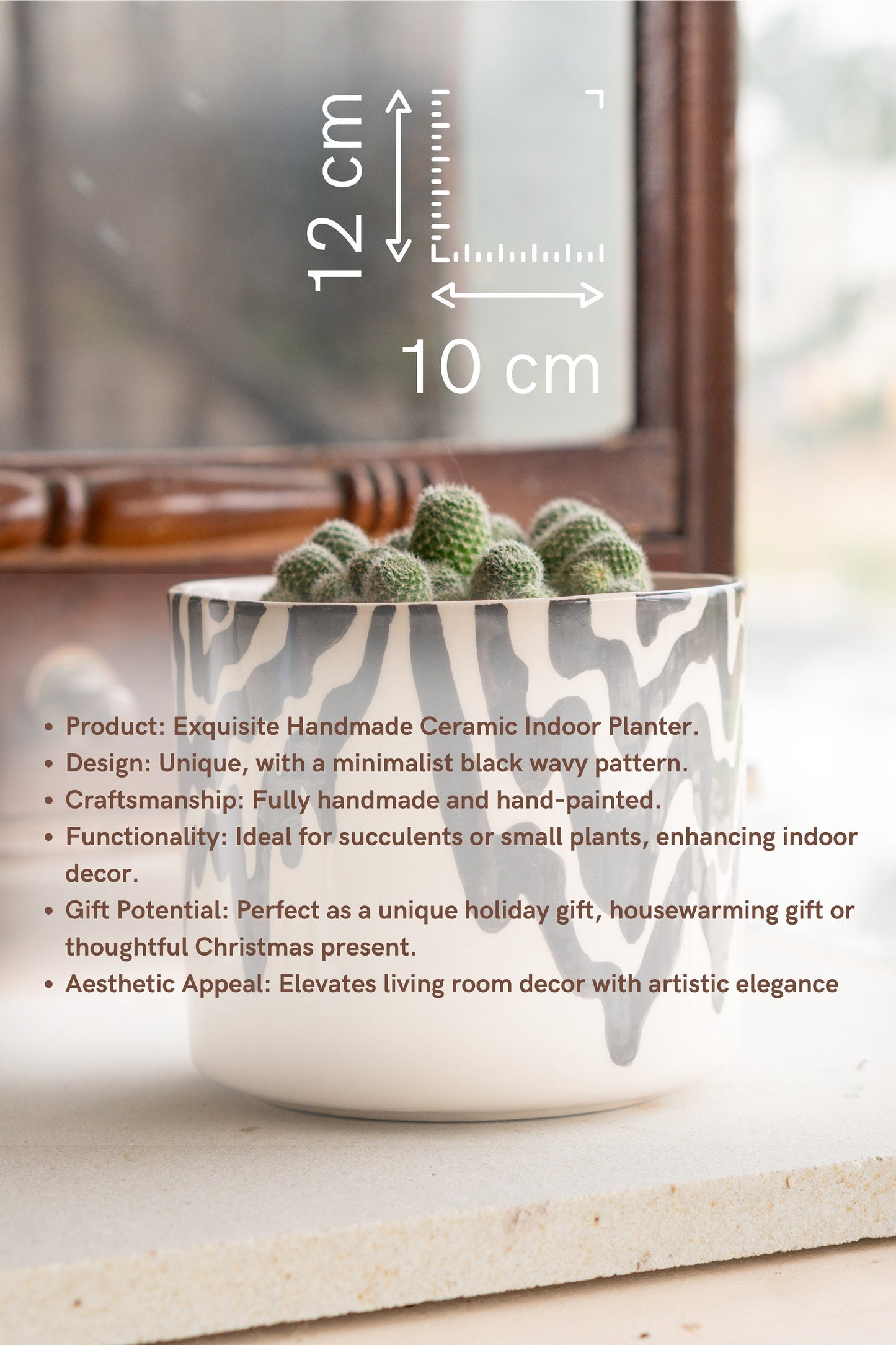 Unique Flower Pot - Ceramic Indoor Planter, Unique Home Decor, Cute Planter